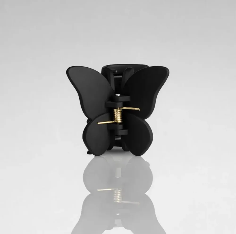 Schmetterling Schwarz