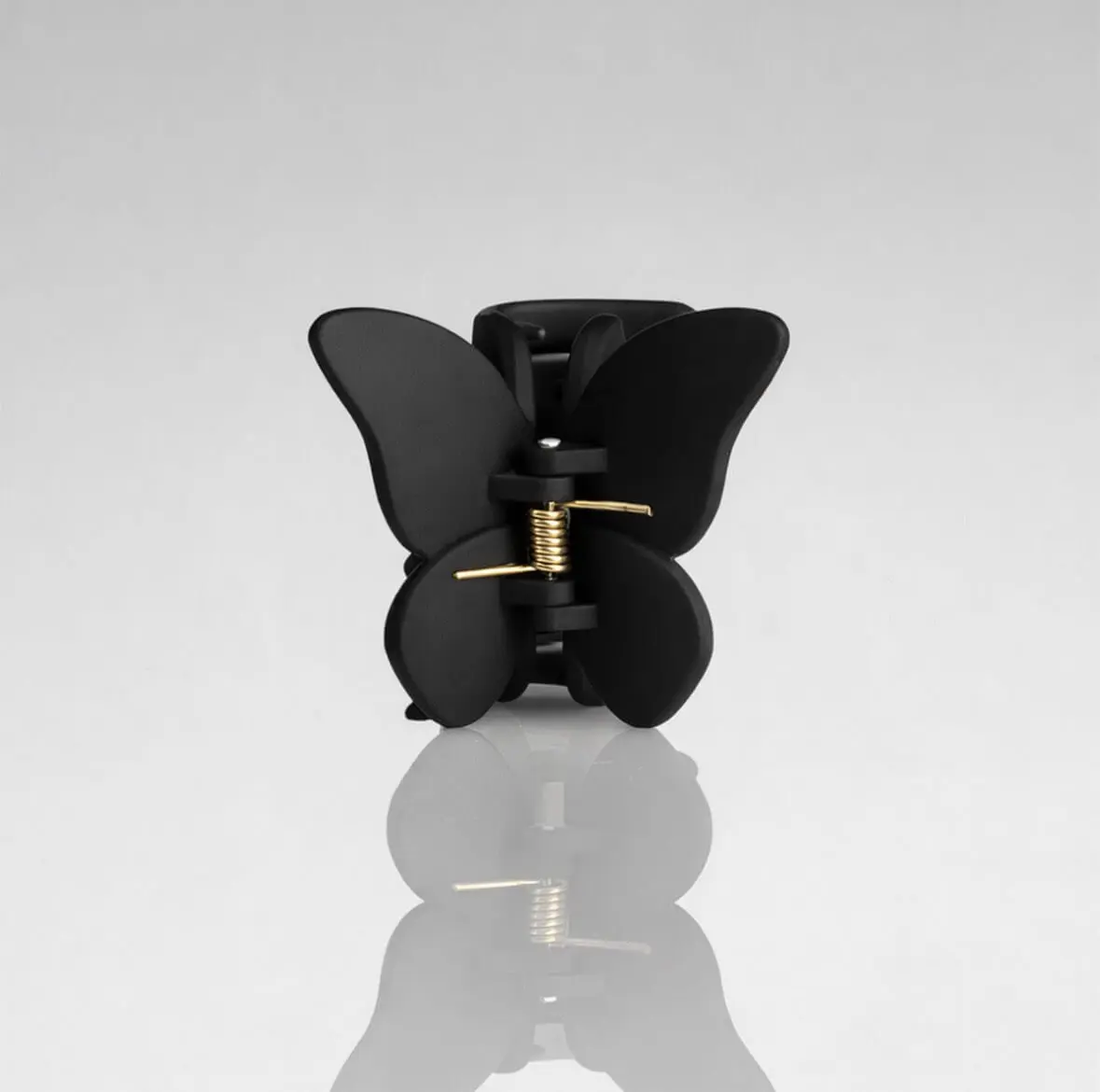 Schmetterling Schwarz
